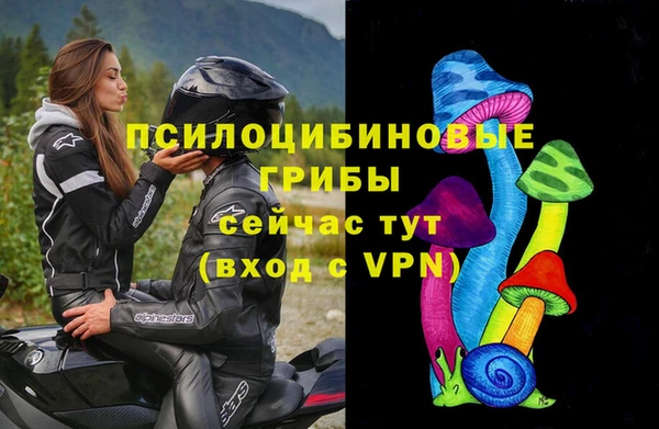 первитин Алексин