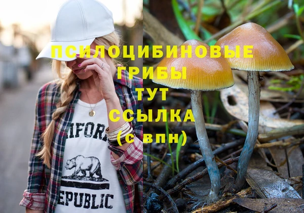 крисы Алексеевка